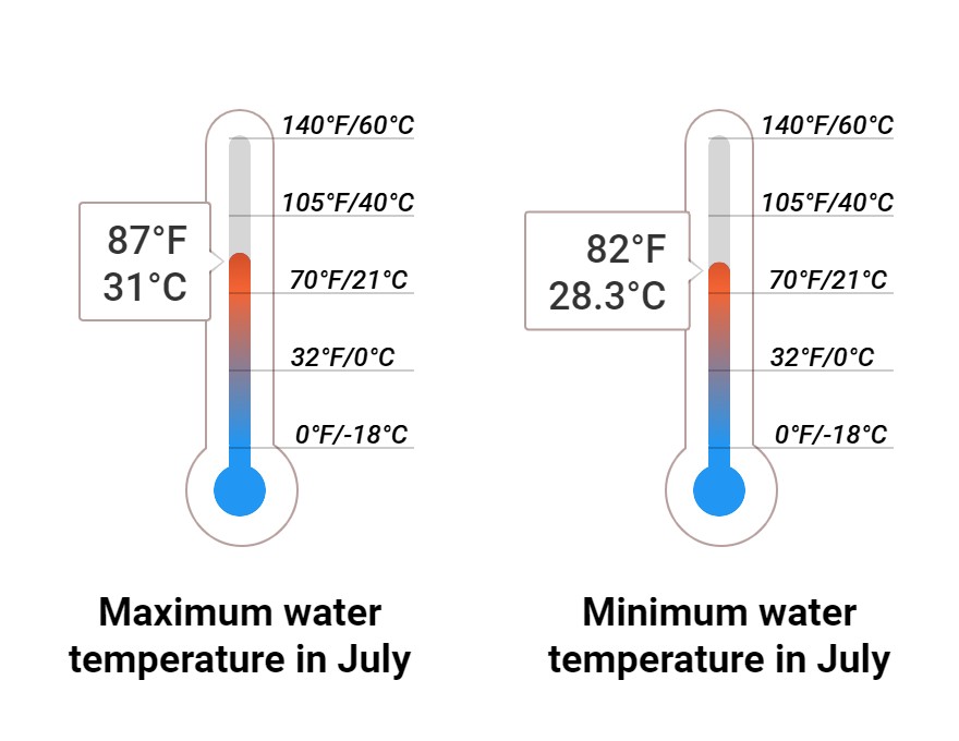 Average Sea temperature